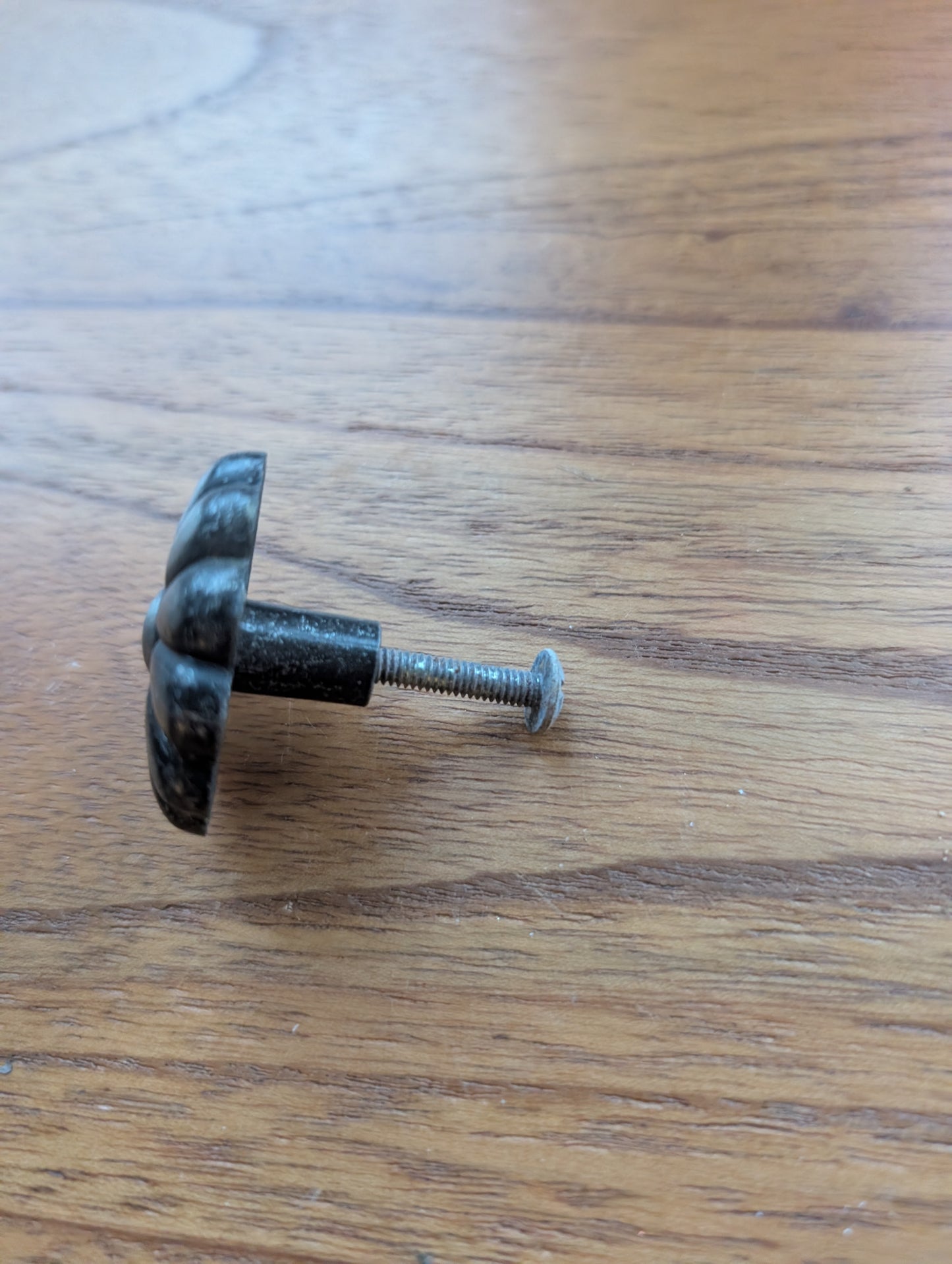 4 Pewter Color Daisy Drawer Pulls