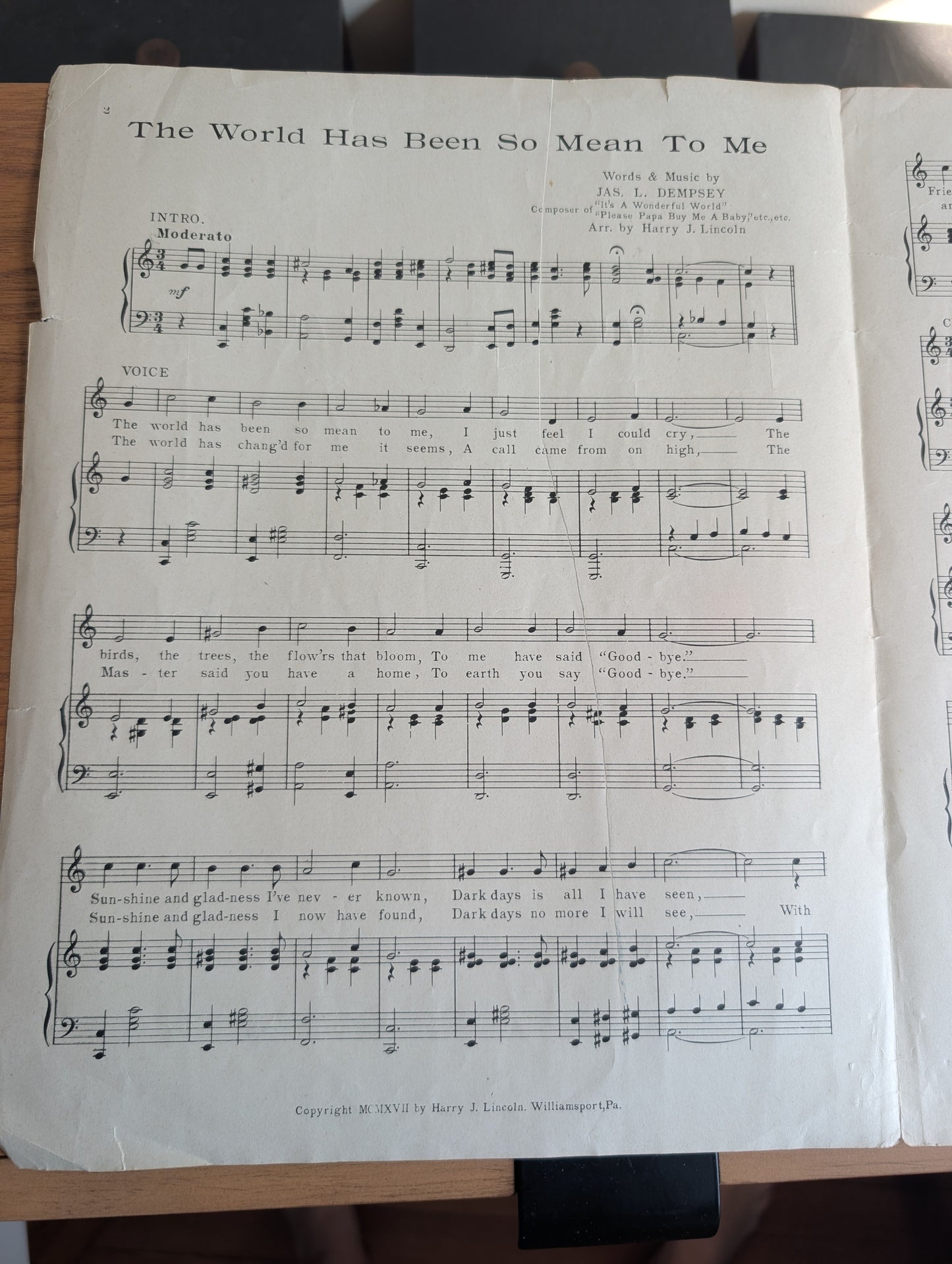 "The World Has Been So Mean" To Me by James Dempsey