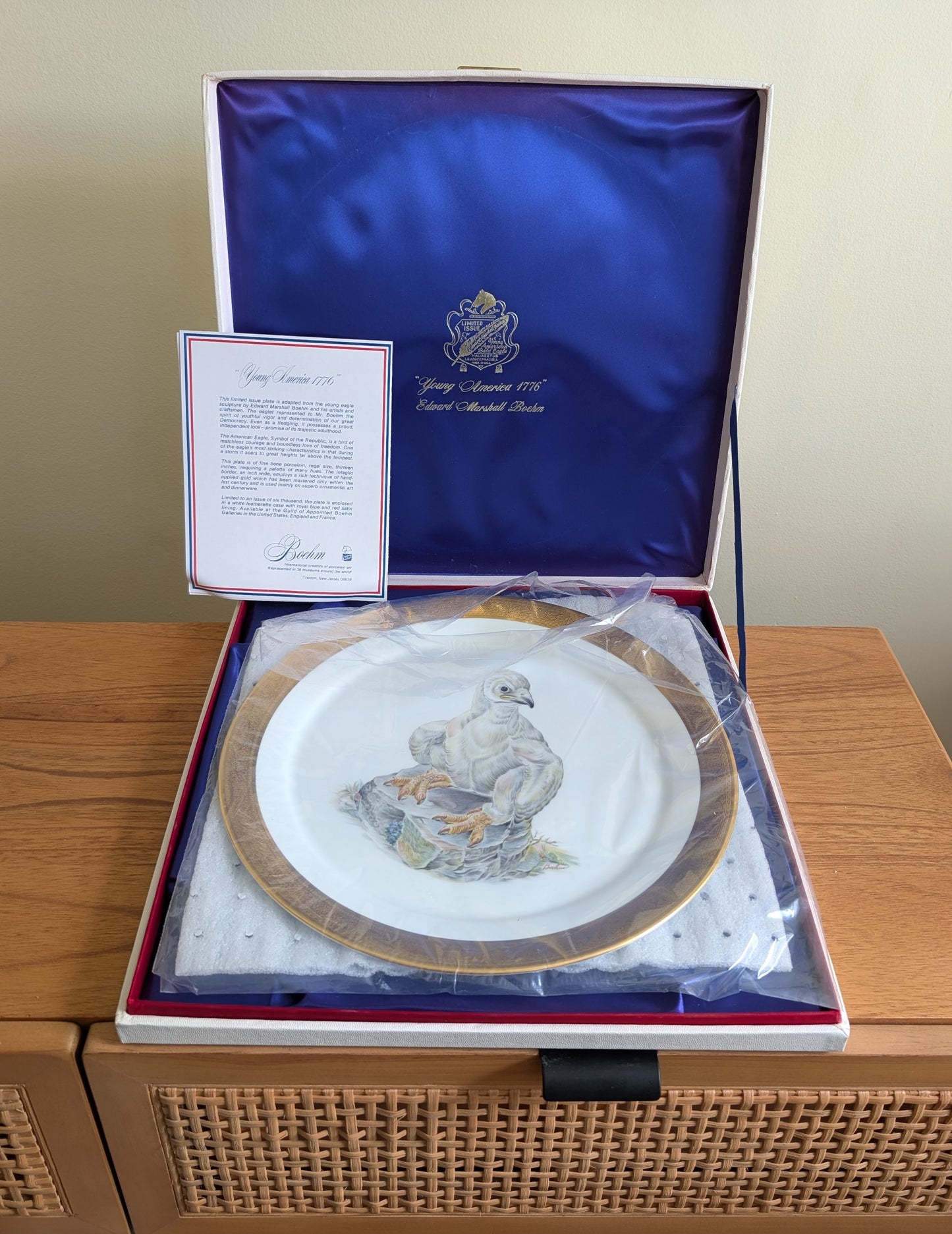 "Young America 1776" Plate