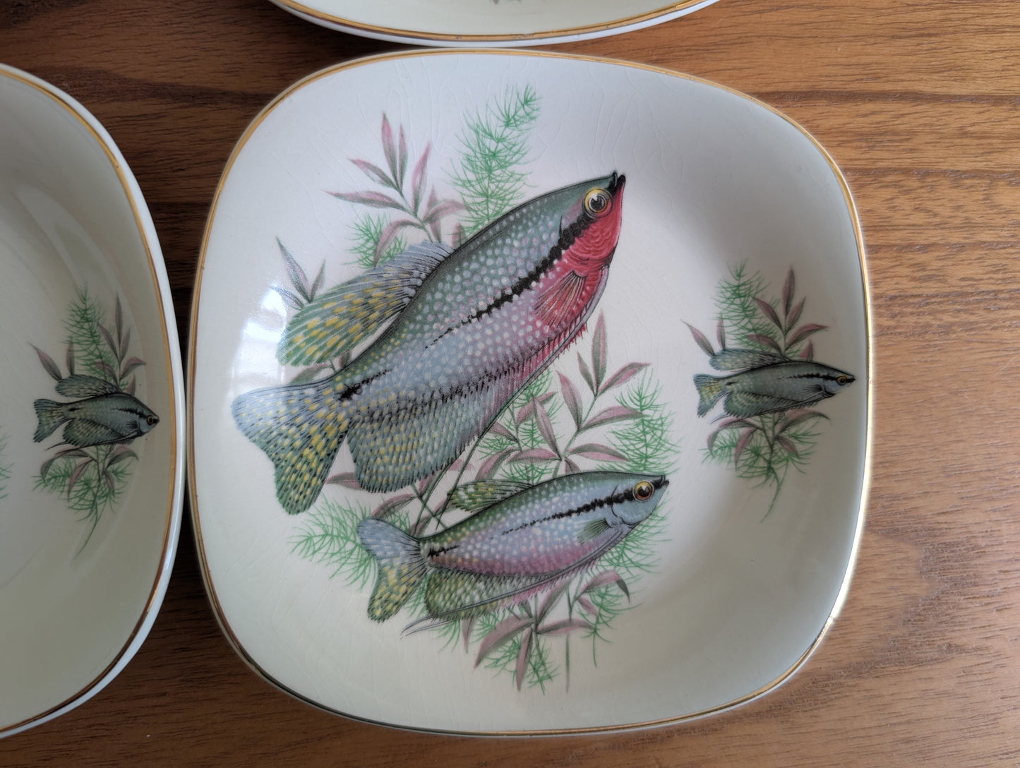 Rare Set of 8 Crown Staffordshire Fish Themed Bread Plates
