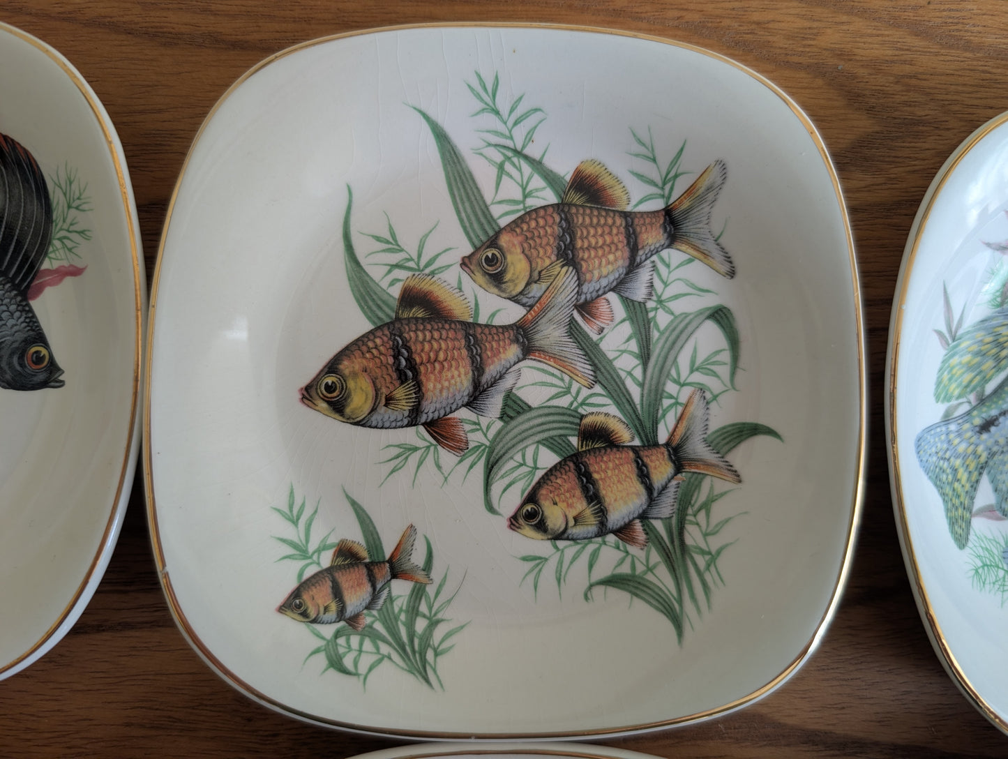 Rare Set of 8 Crown Staffordshire Fish Themed Bread Plates