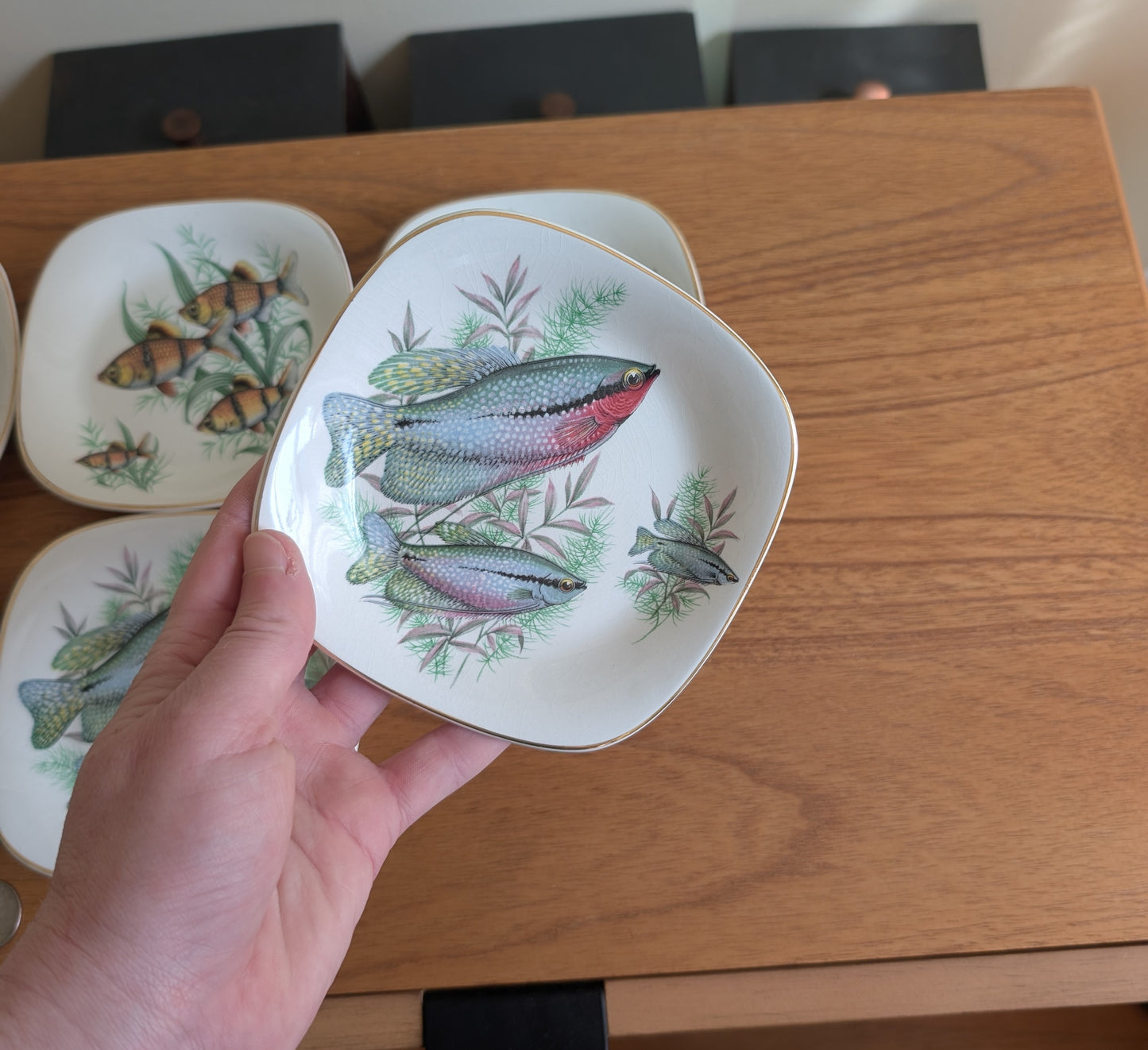 Rare Set of 8 Crown Staffordshire Fish Themed Bread Plates