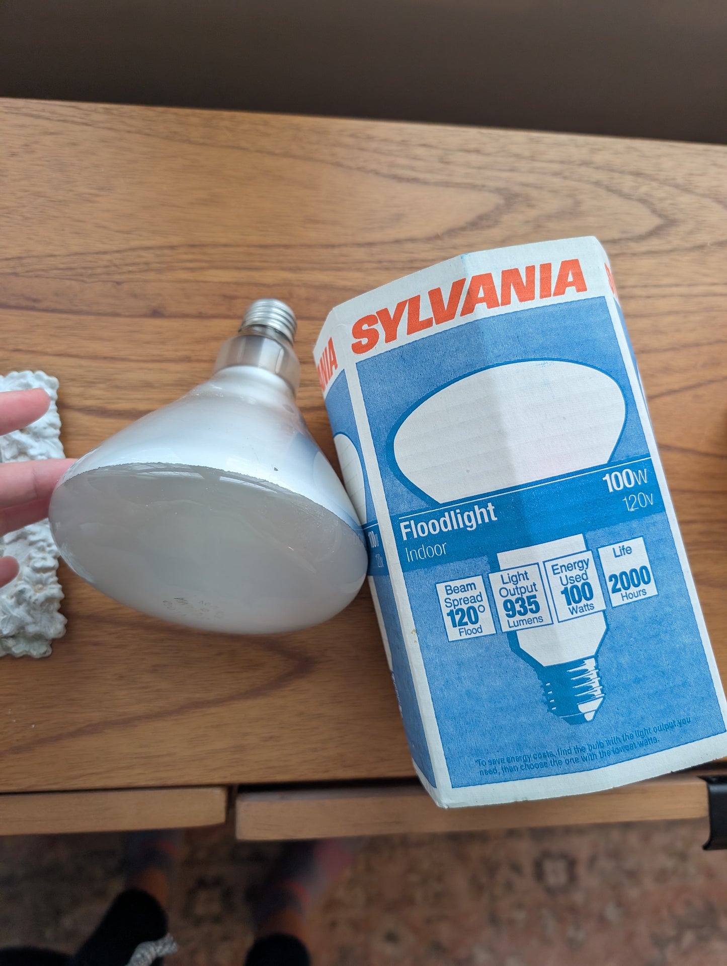 100W Sylvana Floodlight