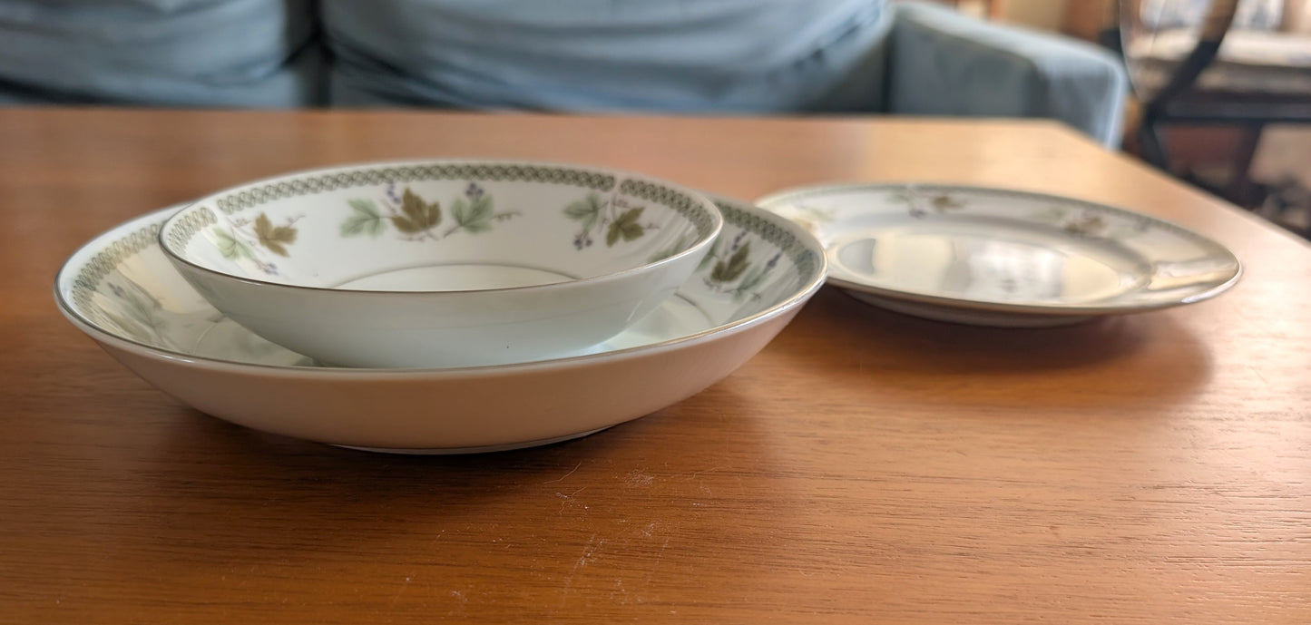 25 Piece Mikasa Avon Dish Set Grape Vine Pattern