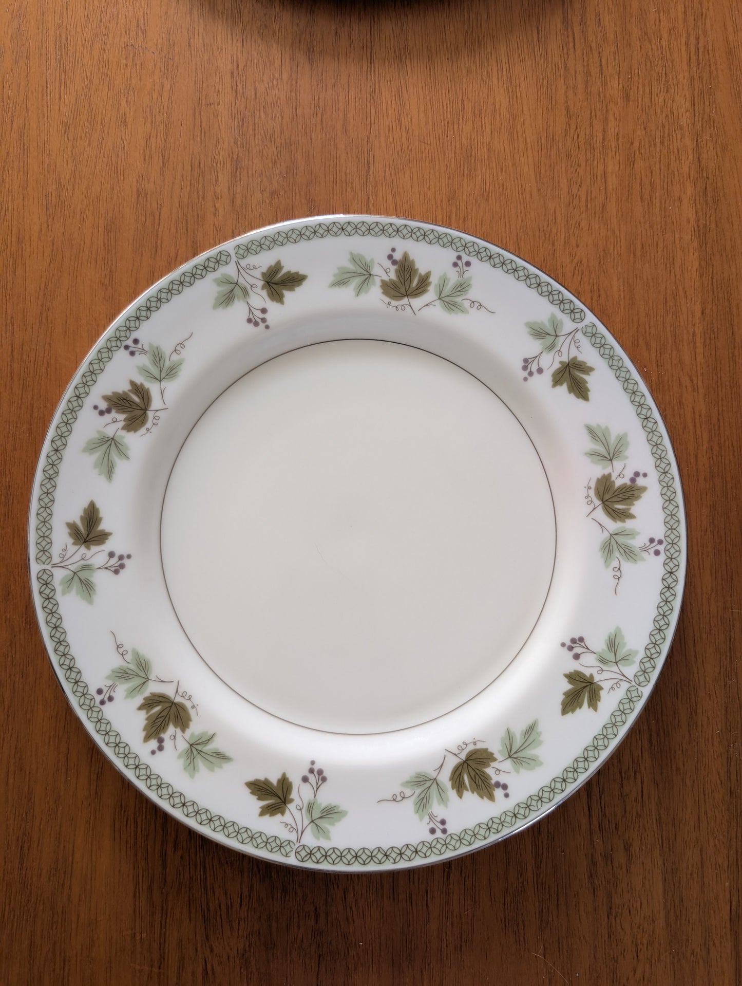 Mikasa Avon Dinner Plates Service for 5