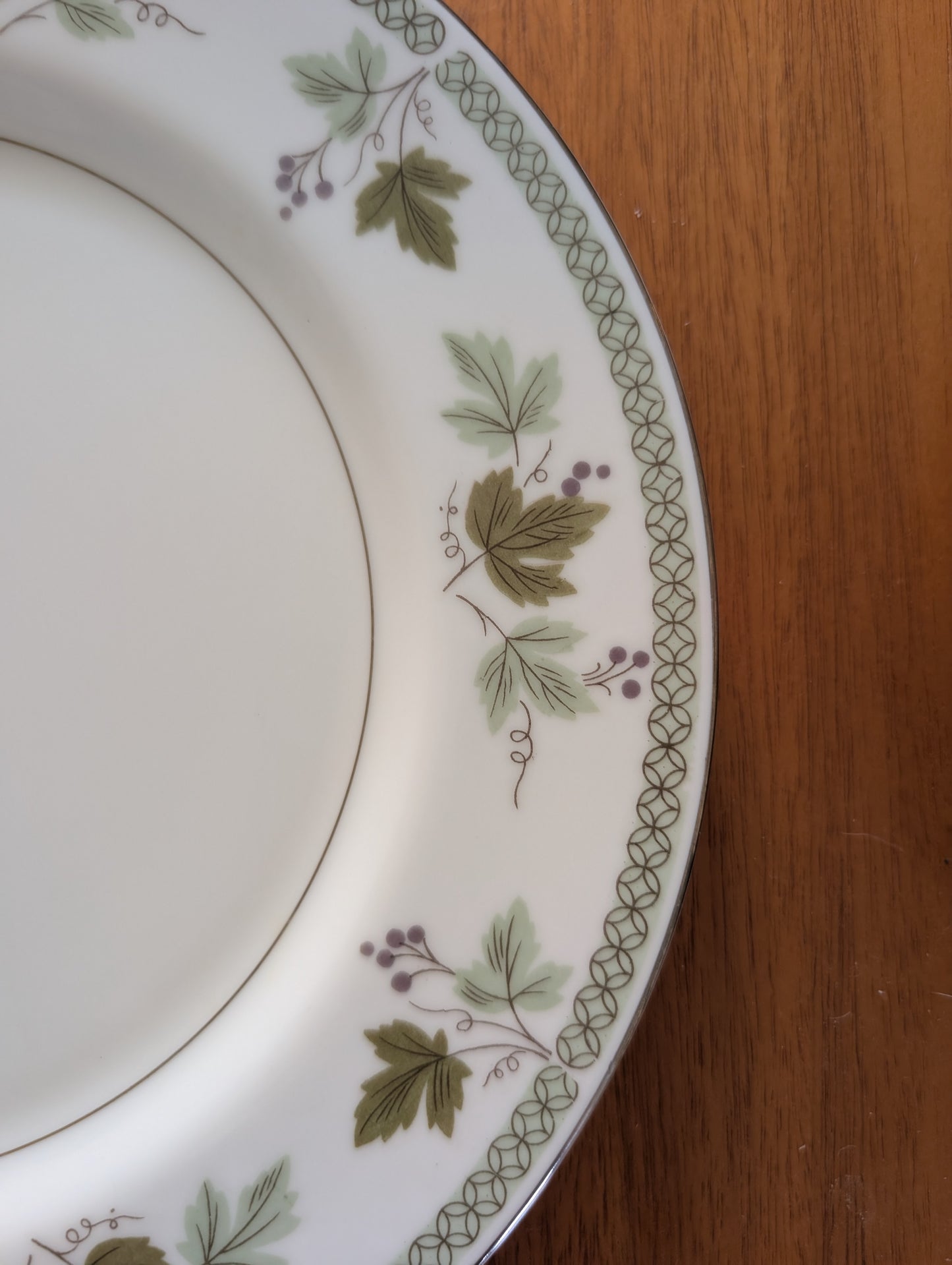 Mikasa Avon Dinner Plates Service for 5