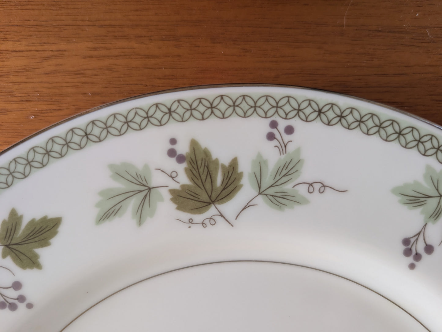 Mikasa Avon Dinner Plates Service for 5
