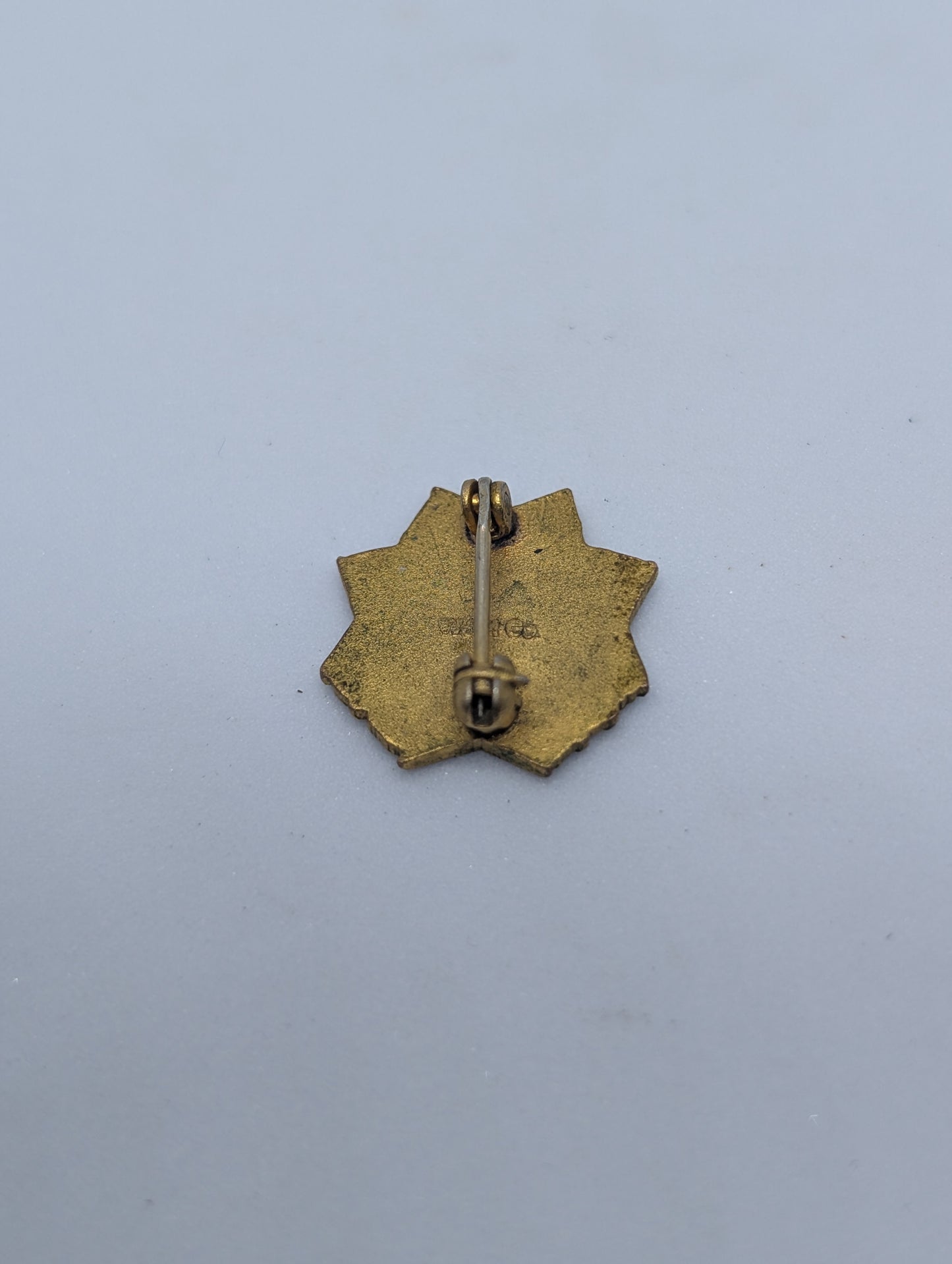 VFW Auxiliary Pinback
