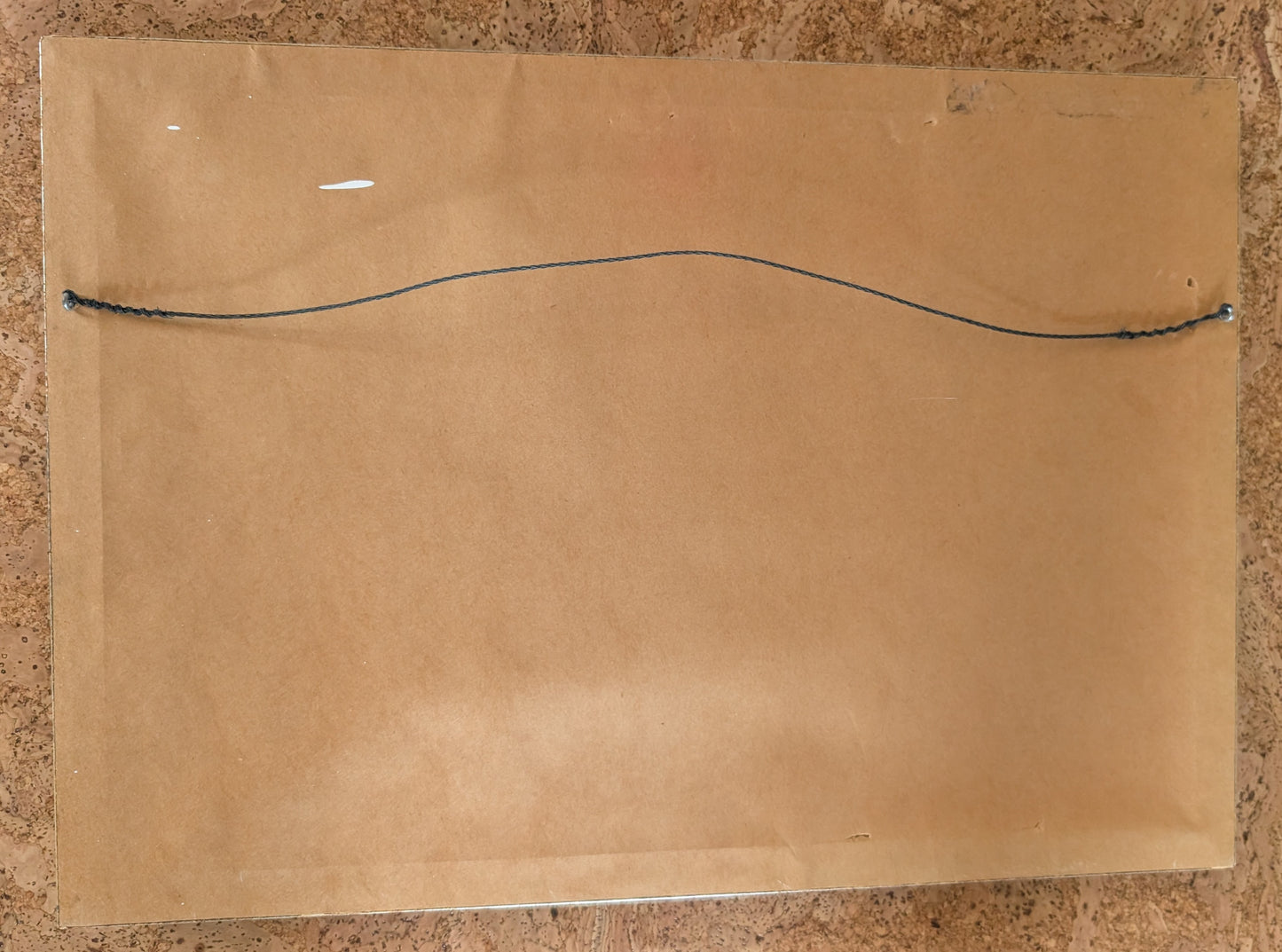 Beautifully Framed 1920s Wedding Portrait Photos Flapper Bride in Gown and Veil