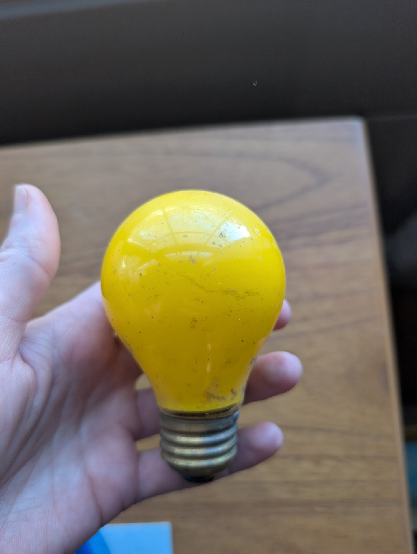 25 Watt Yellow Bulb - Bug Light