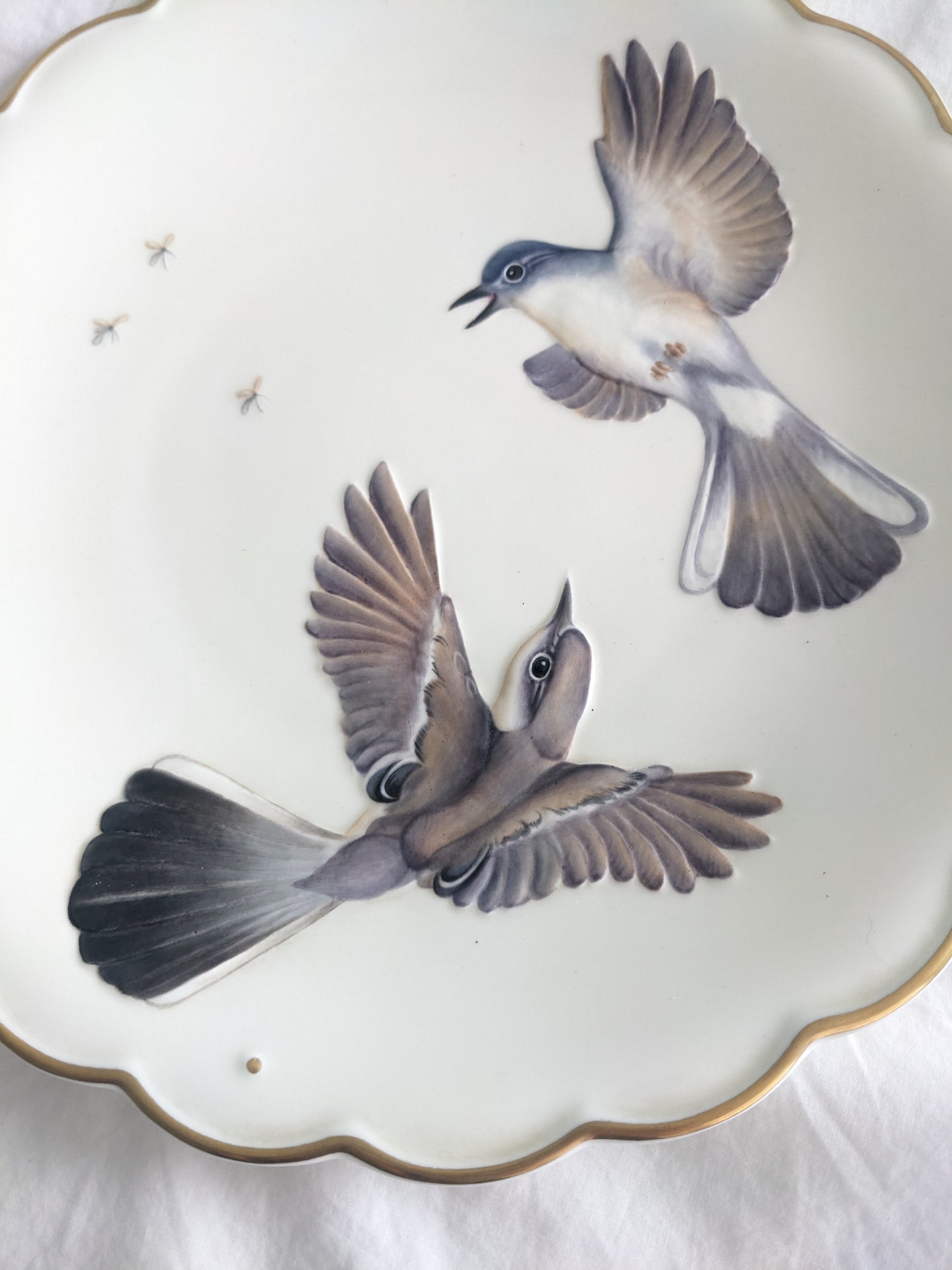 Dorothy Doughty Dessert Plate Blue-Grey Gnatcatchers