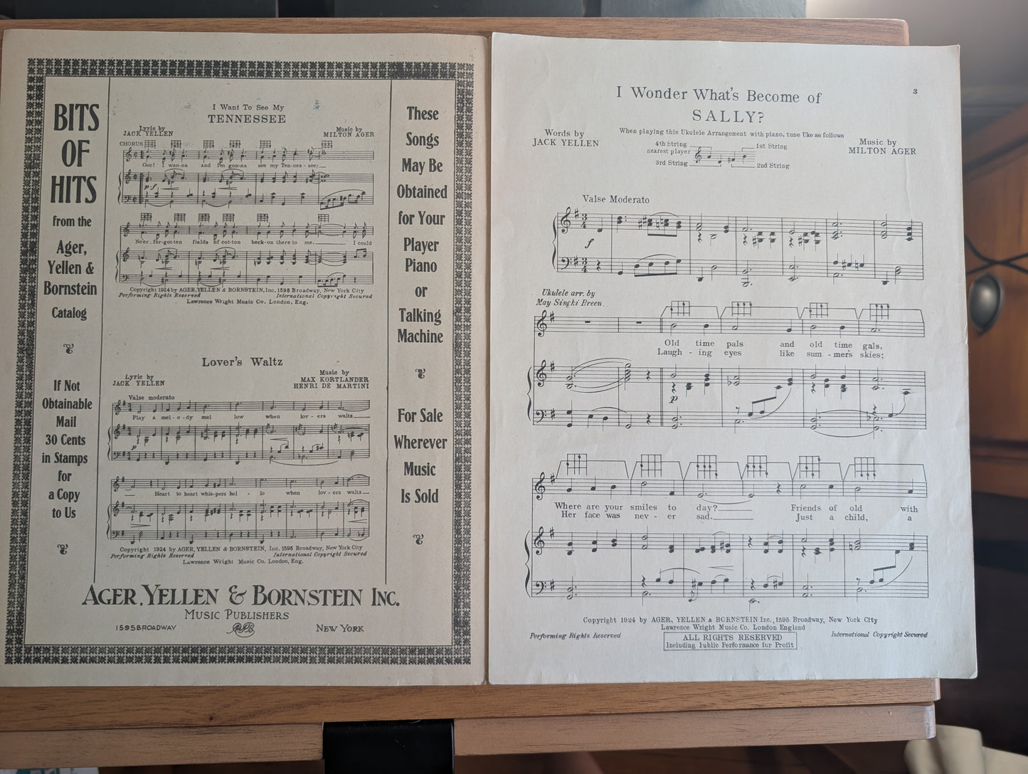 Vintage Sheet Music I Wonder What's Become of Sally Piano with Ukulele