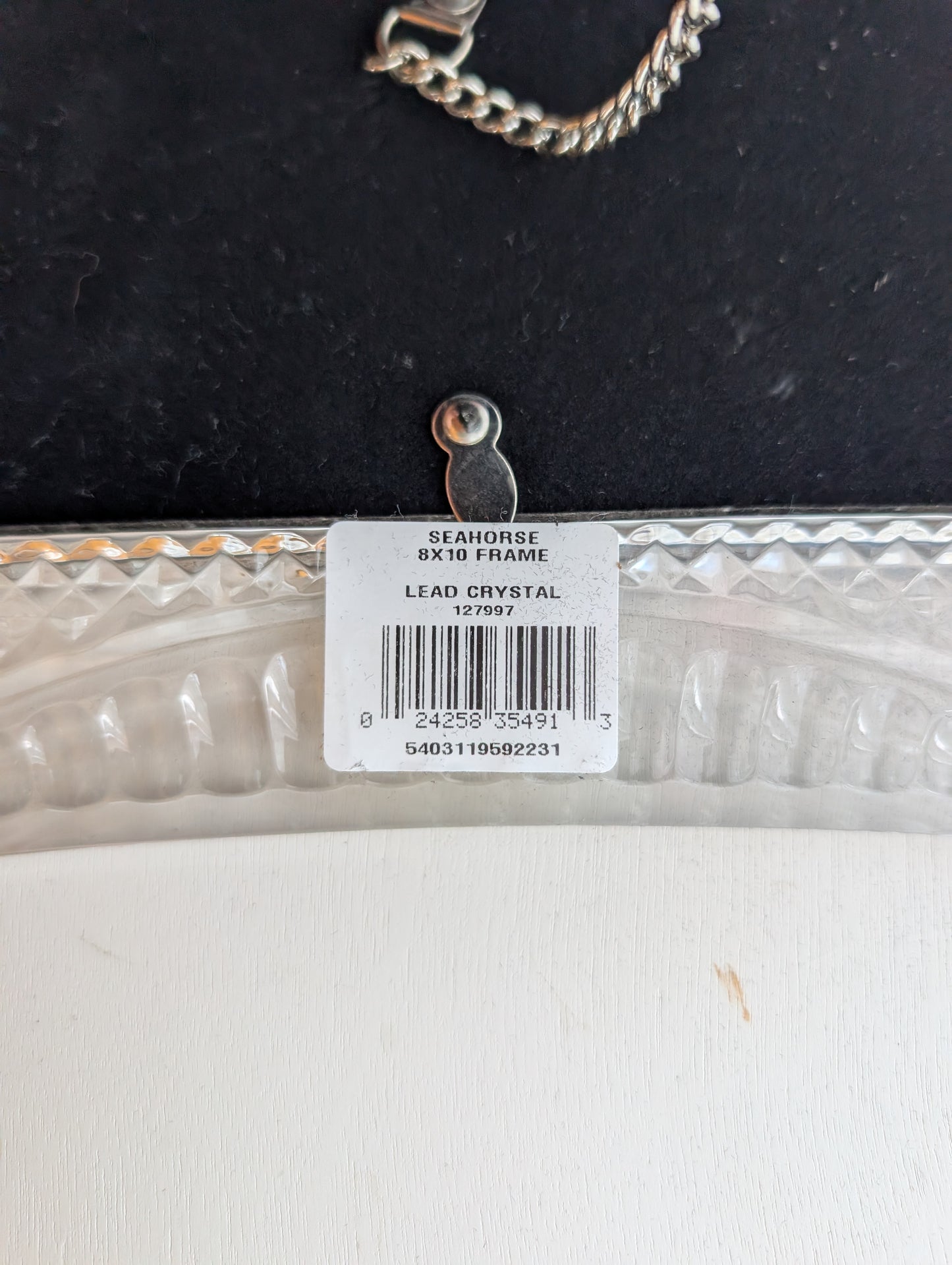 Waterford Portraits Crystal Seahorse 8 x 10 Lead Crystal Picture Frame